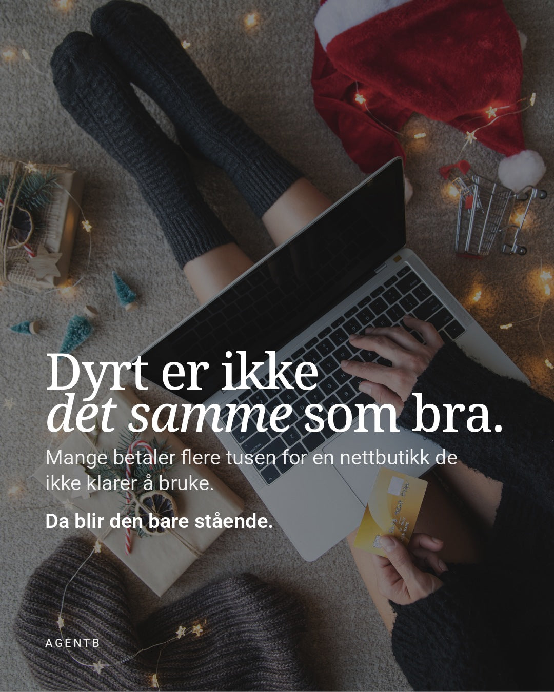 Dyrt er ikke det samme som bra. Lær å bruke nettbutikken selv