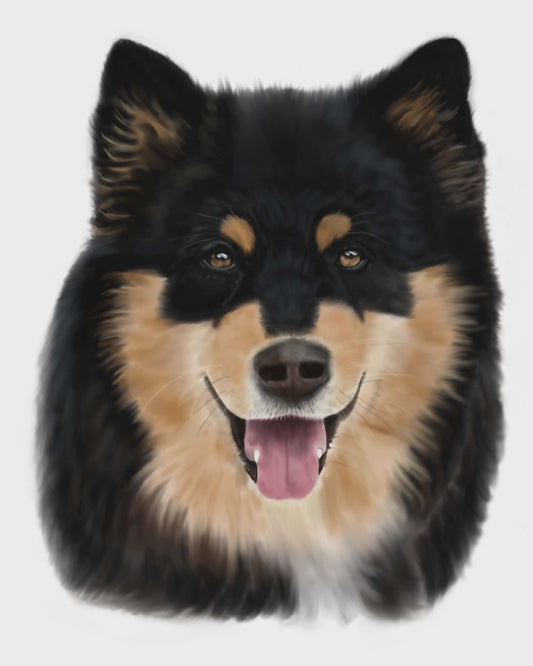 Ta med dyret i galleriet - Galleri2B