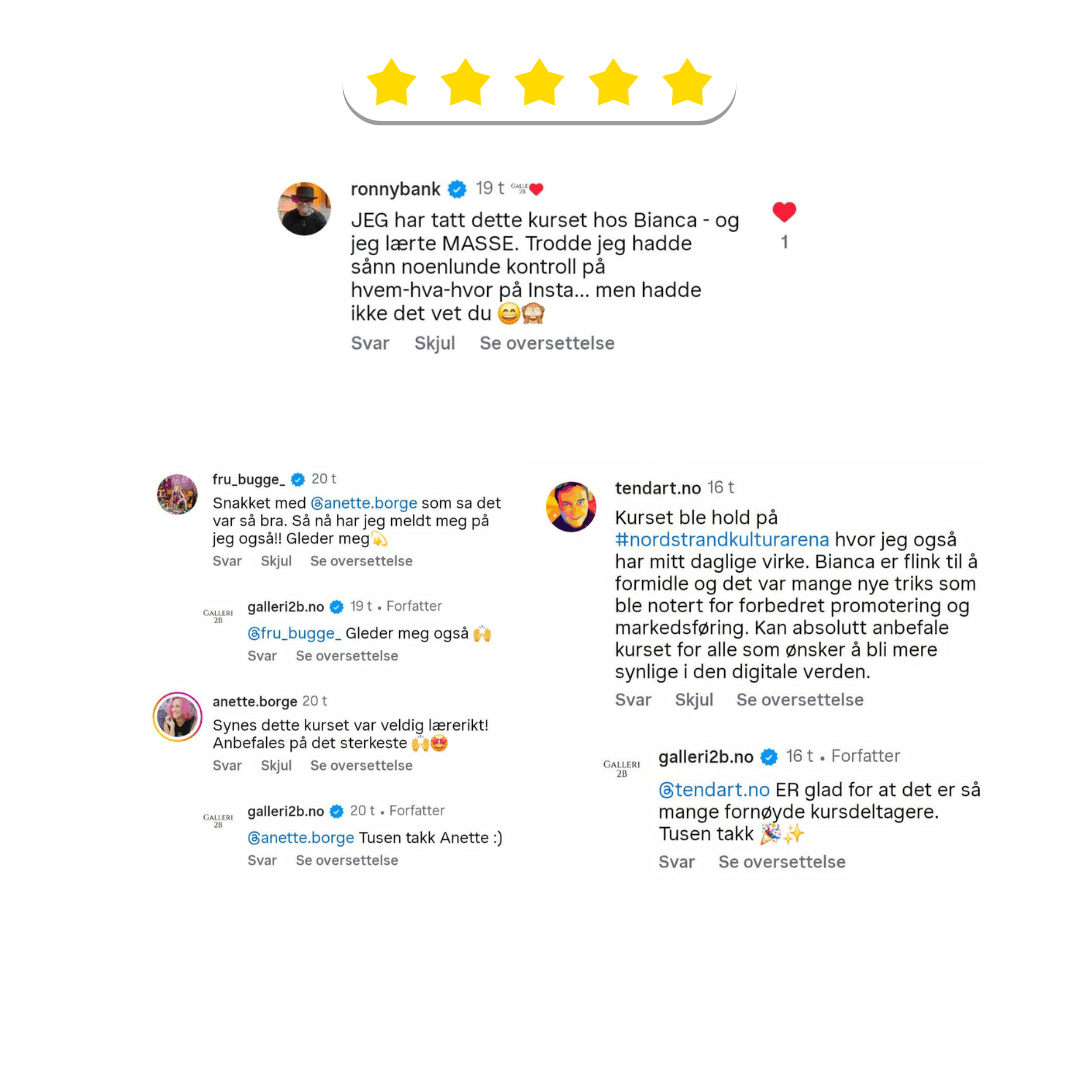Bilde av Lær å bruke INSTAGRAM profesjonelt laget av Bianca Marie Nilsen, popart kunst fra Galleri2b