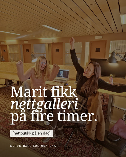 Kunstneren Marit fikk nettgalleri på fire timer sammen med Bianca Marie Nilsen på Nordstrand Kulturarena