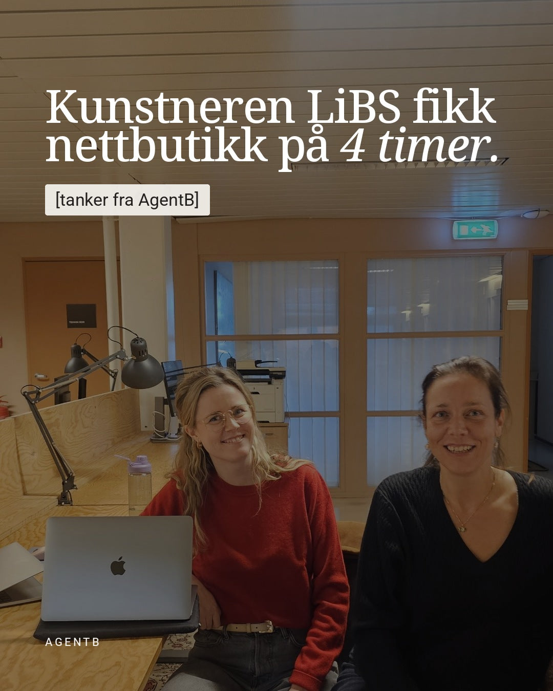 Kunstneren LiBS fikk nettbutikk på fire timer