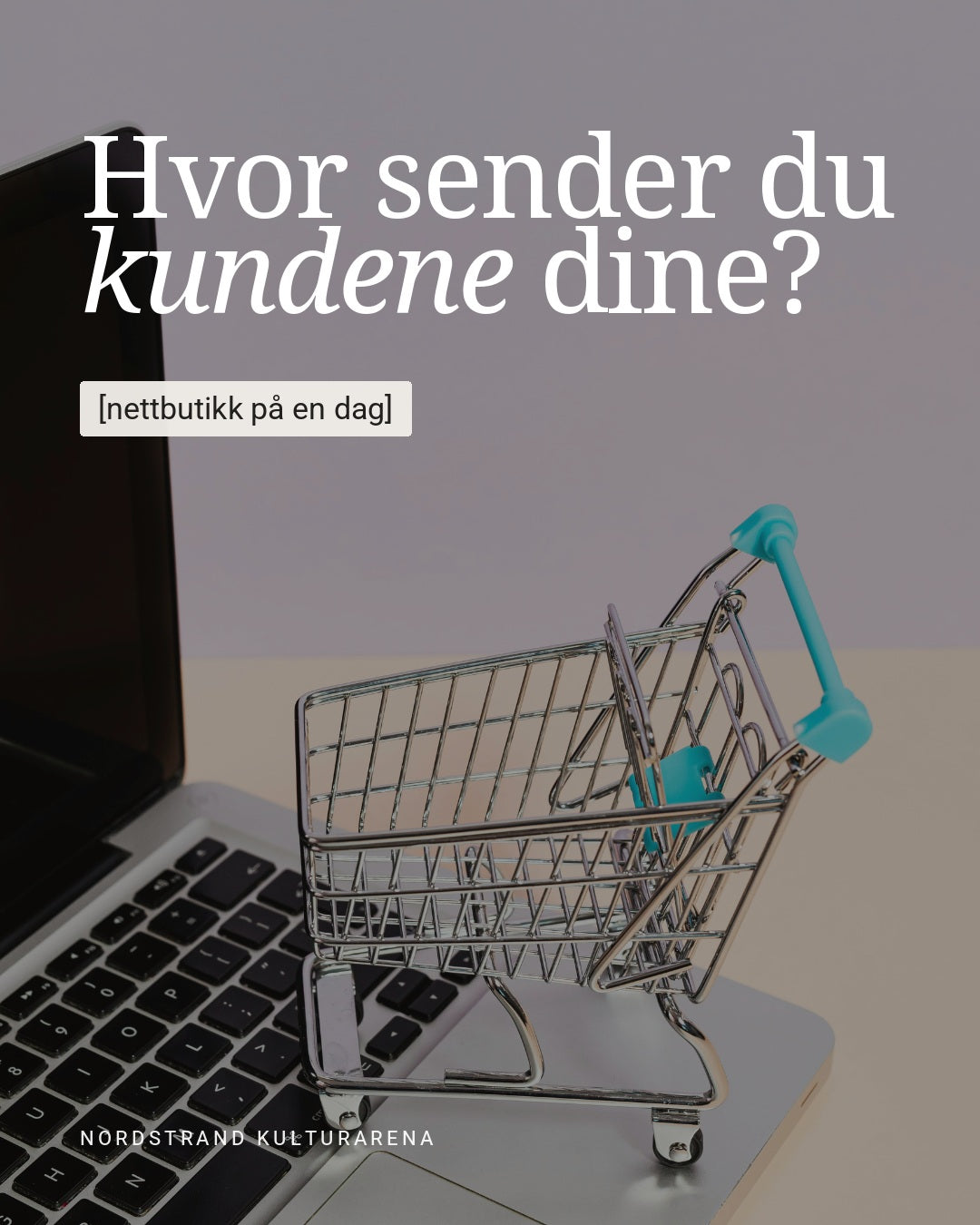 Hvor sender du kundene dine? Egen nettbutikk på Shopify