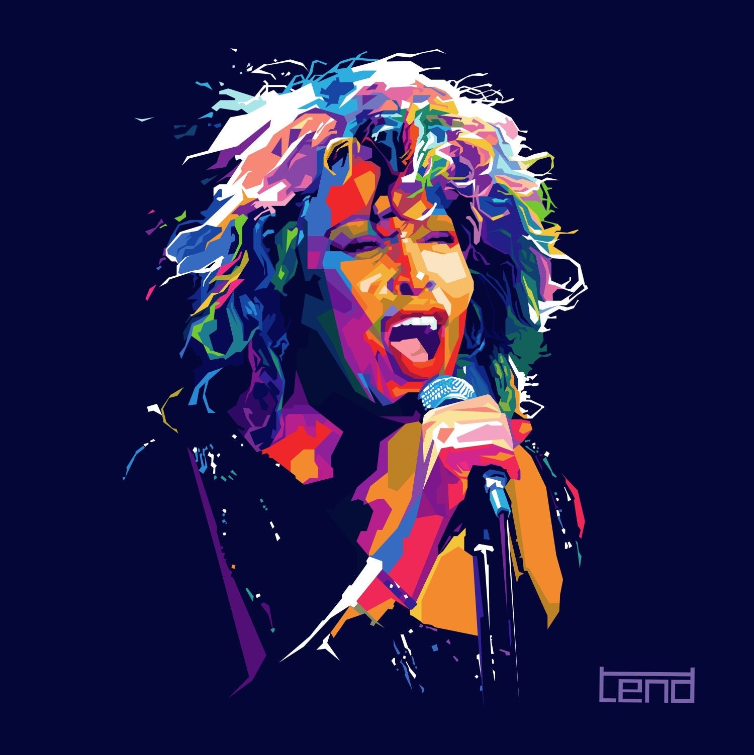 Bilde av Torbjørn Endrerud "Tina Turner" laget av Torbjørn Endrerud, popart kunst fra Galleri2b